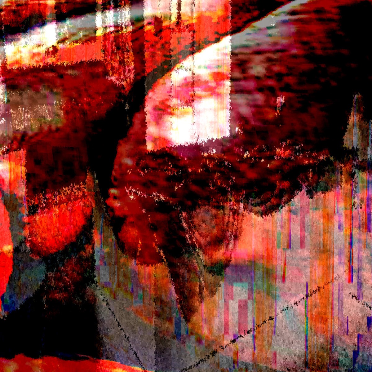 seecret_cat
